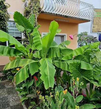 Murko P-4 Апартаменти