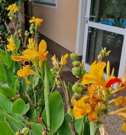 Murko P-4 Lägenhet Ljubljana