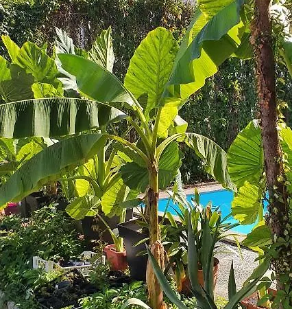 Lägenhet Murko P-4 *