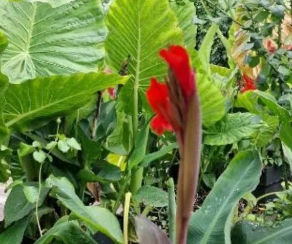 Apartmán Murko P-4 Lublaň