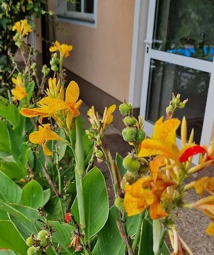 Murko P-4 Apartmán Lublaň