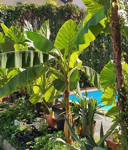 Апартаменты Murko P-4 *